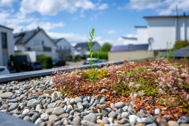 Beton Einzelgarage mit Mehrzweckraum